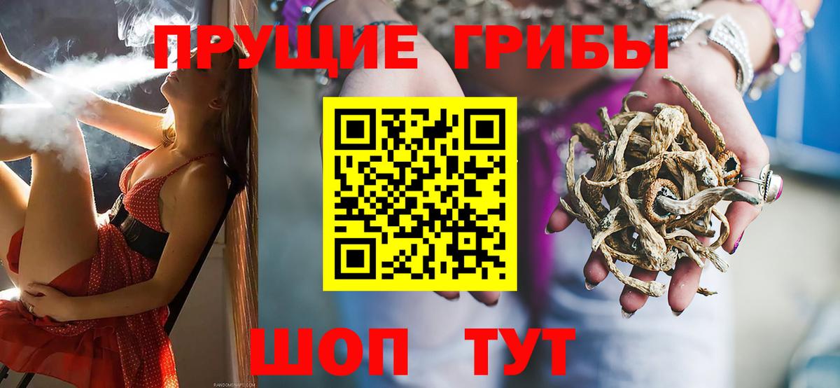 Псилоцибиновые грибы прущие грибы Шелехов