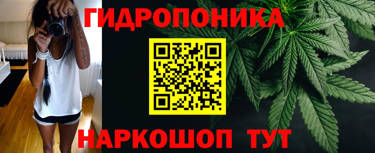 Конопля OG Kush Шелехов