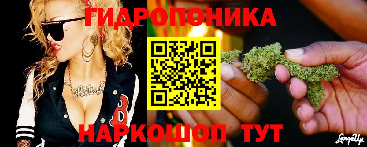 Конопля Bruce Banner  Каннабис Amnesia  Шелехов  Вход с VPN  Бошки марихуана планчик  Марихуана AK-47 